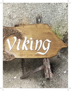 http://lenagex.fr/files/gimgs/th-78_panneaux_viking_arbre_vignetted.jpg